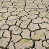 Podcast : Spécial dérèglement climatique - Alimentation et loi Climat