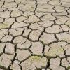 Podcast : Spécial dérèglement climatique - Alimentation et loi Climat