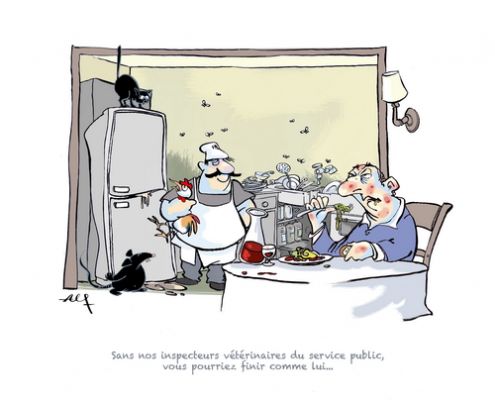 Elections dans les DDETS/PP 