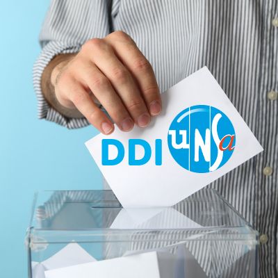 DDI : voter est un droit fondamental et constitutionnel