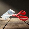 Action sociale interministérielle : un budget 2025 insuffisant 